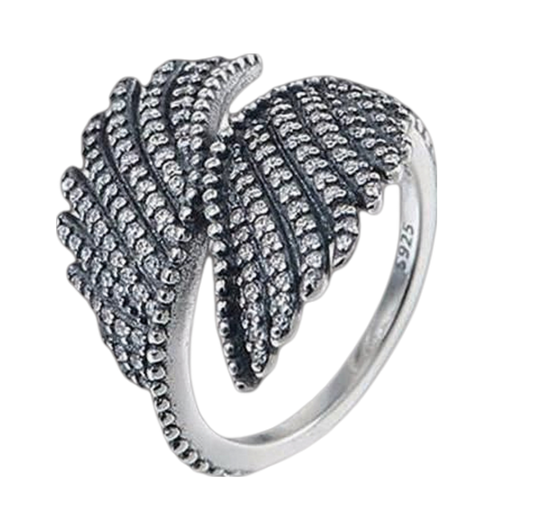 Anillos de plata